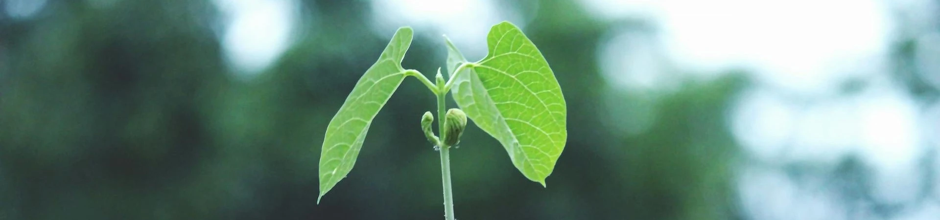 Nachhaltigkeit Hotel Böttcherhof